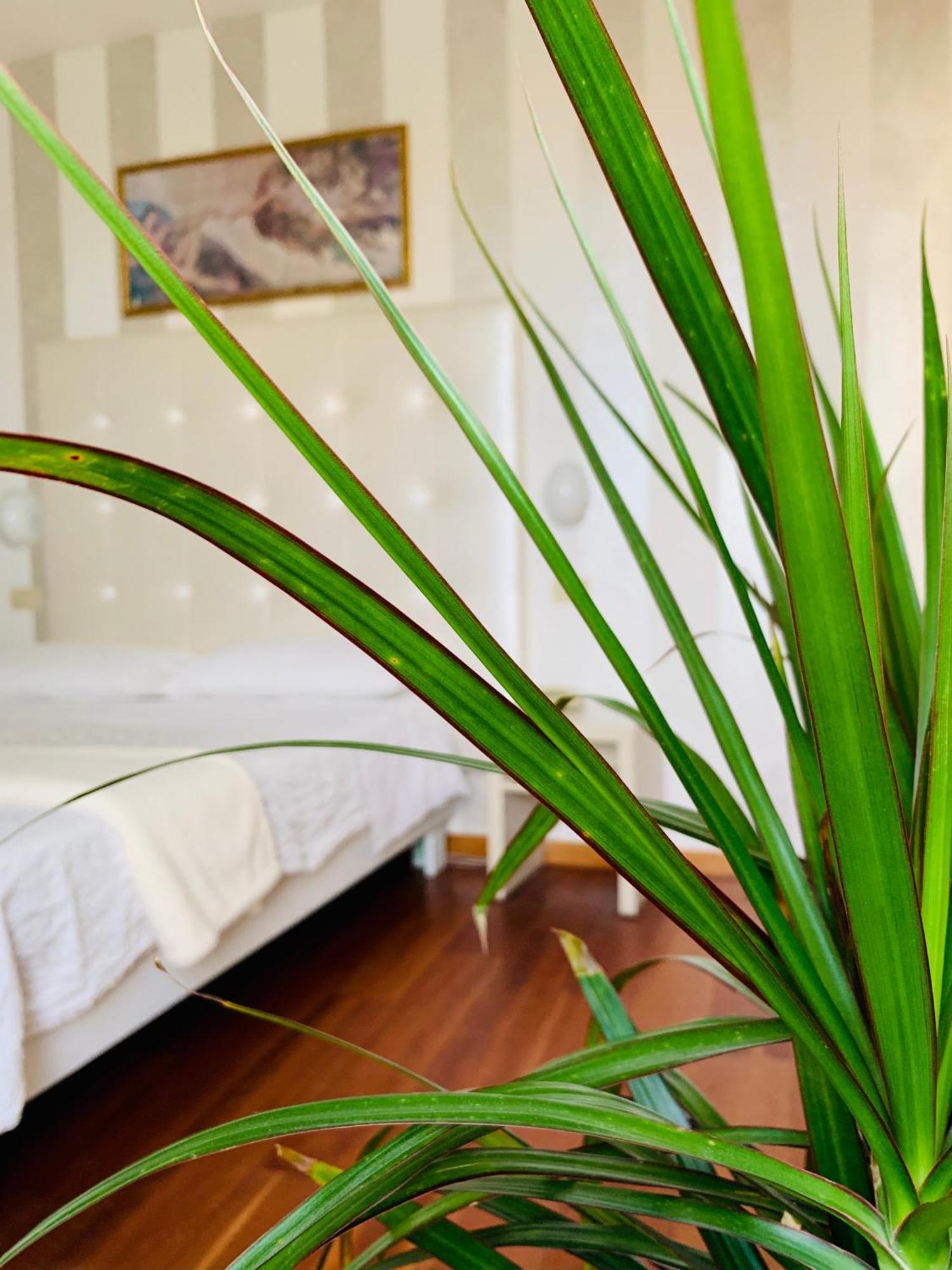 Hotel Baby Milano Marittima